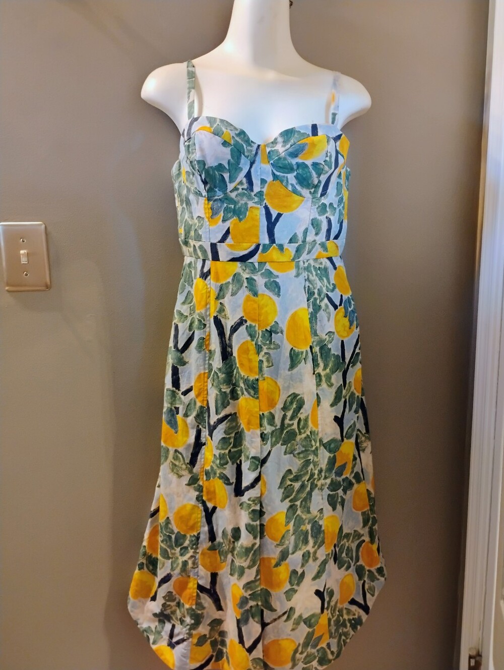 Women's Whit Anthropologie Corset Bodice Lemon Midi Sun Dress Size 8